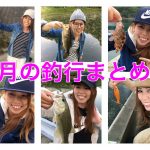 ５月の釣行まとめ