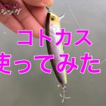 バス釣り