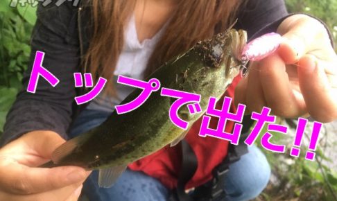 バス釣り