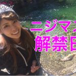 ニジマス解禁日