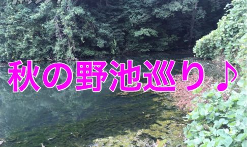 秋バス釣り