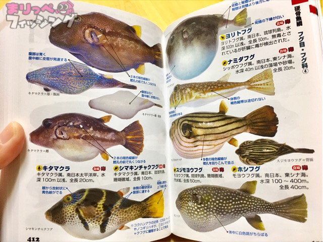 釣魚１４００種図鑑