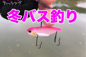 バス釣り