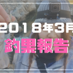 3月釣果報告