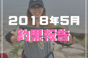 ２０１８年５月釣果報告