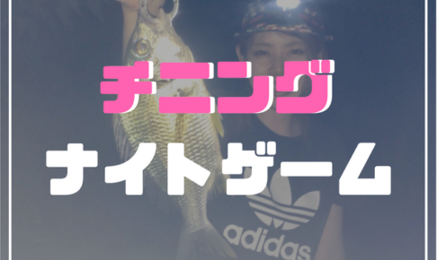 チニングナイトゲーム
