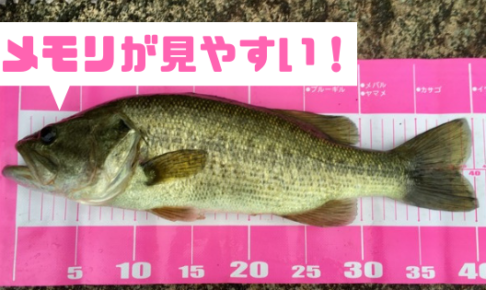 ダイワの折りたたみ板メジャーなら魚のサイズを正確に測りやすいよ まりっぺフィッシング