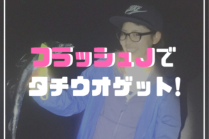 和歌山　タチウオ
