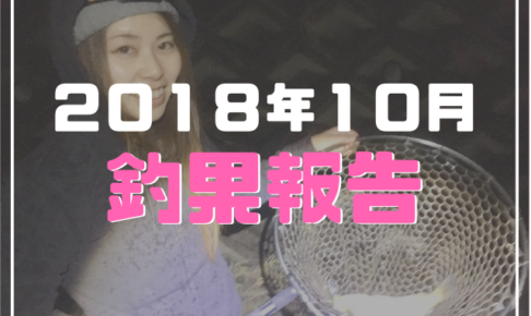 ２０１８年１０月釣果報告