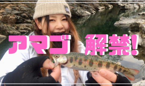 天川　アマゴ解禁日　