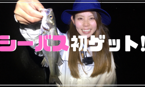 シーバス釣り