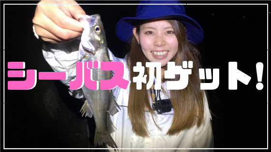 シーバス釣り