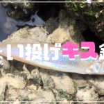 和歌川　キス釣り