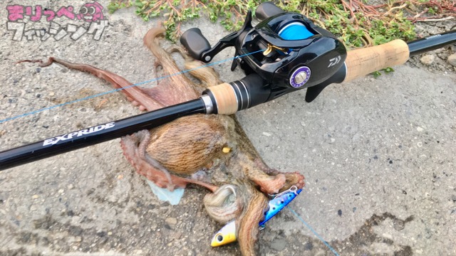 タコ釣り