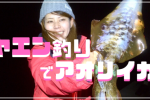 ヤエン釣り