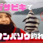 投げサビキ