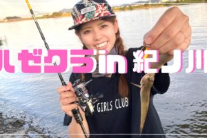 ハゼクラ
