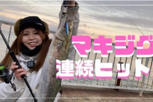 ライトショアジギング